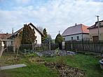Třibřichy